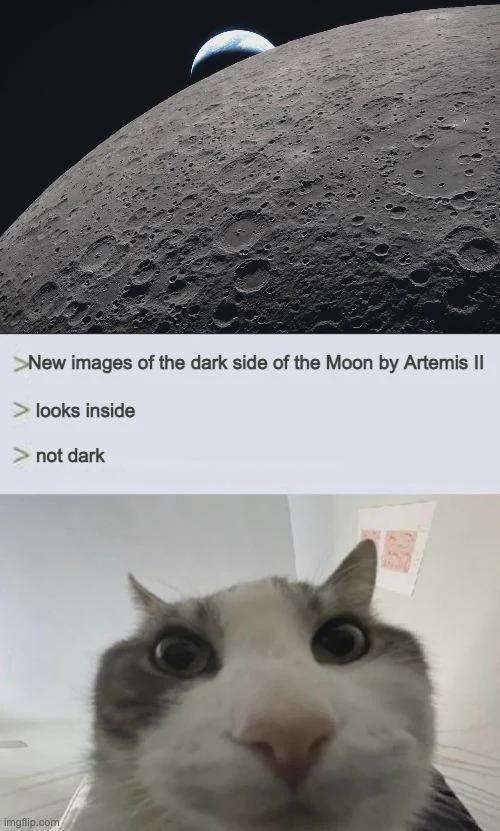 Artemis 2 Meme