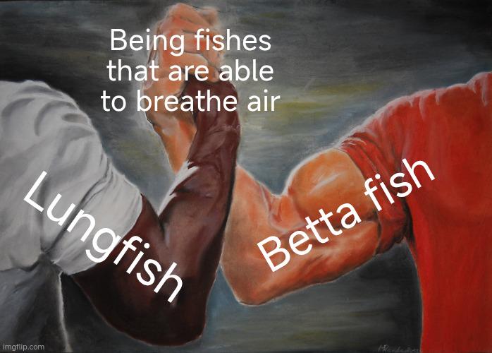 Air-Breathing Fishes