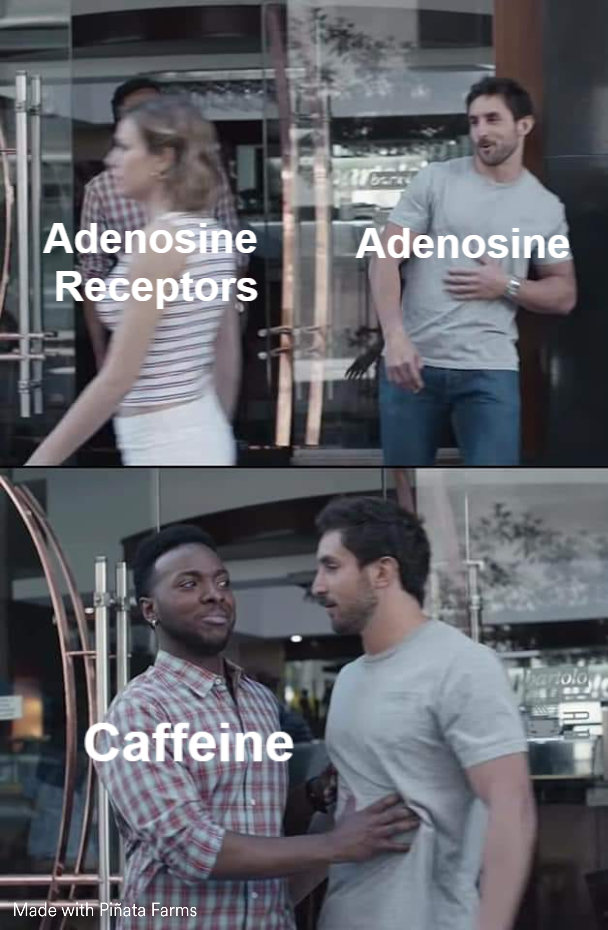 When You Want To Sleep But You Just Had A Cup Of Coffee