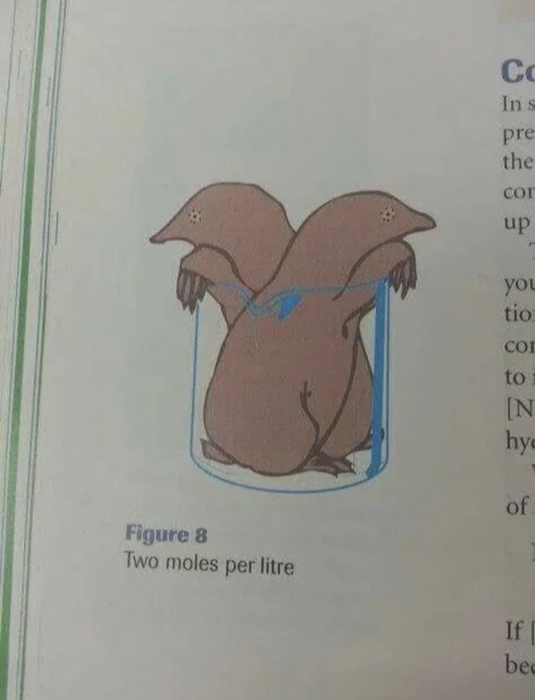 Mole