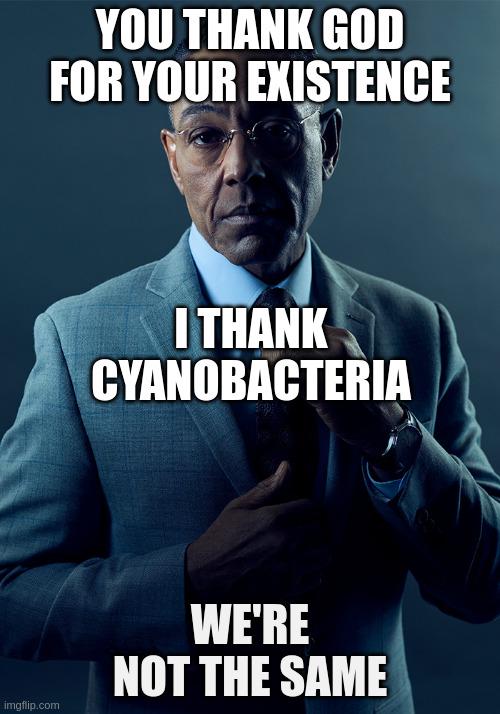 Much Love, Cyanobacteria <3