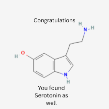 You've Found The Serotonin As Well