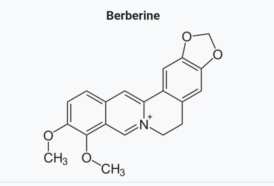 Berberine Looks Like A Worm