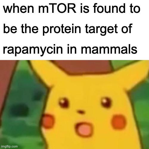 Truly Groundbreaking Stuff