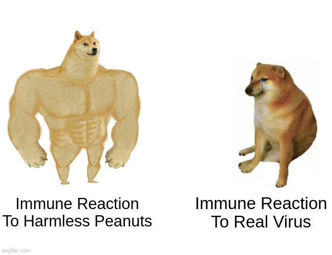 Immune System Has The Wrong Priorities