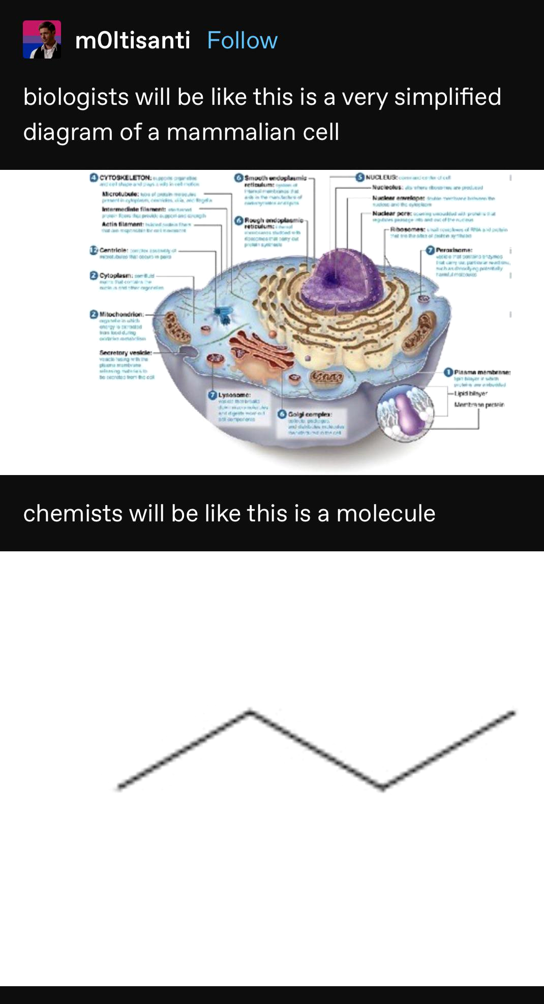 And They're Both Right