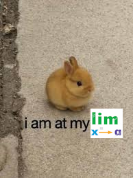 I Don't Know How Limit Works But I Immediately Thought Of This When I Saw It
