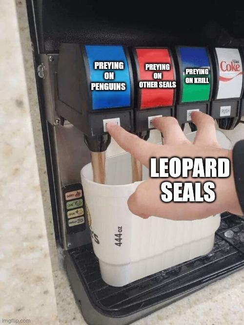 Feeding On Multiple Preys