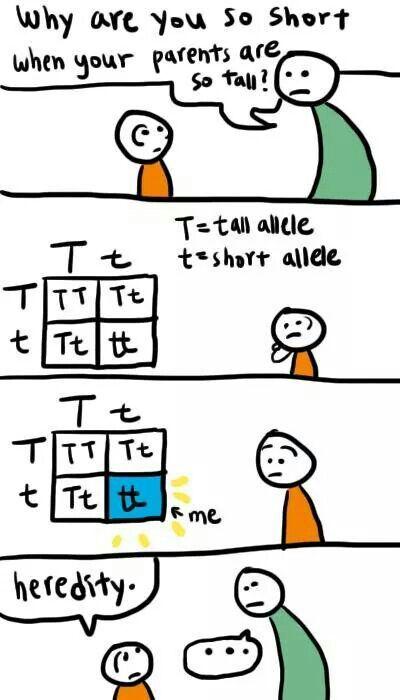..