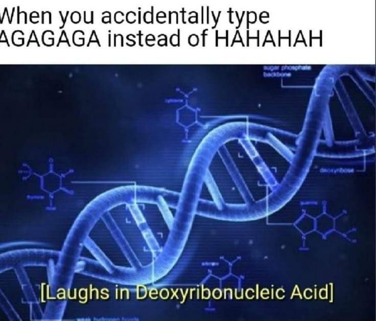 When You Accidentally Type AGAGAGA Instead Of HAHAHAH