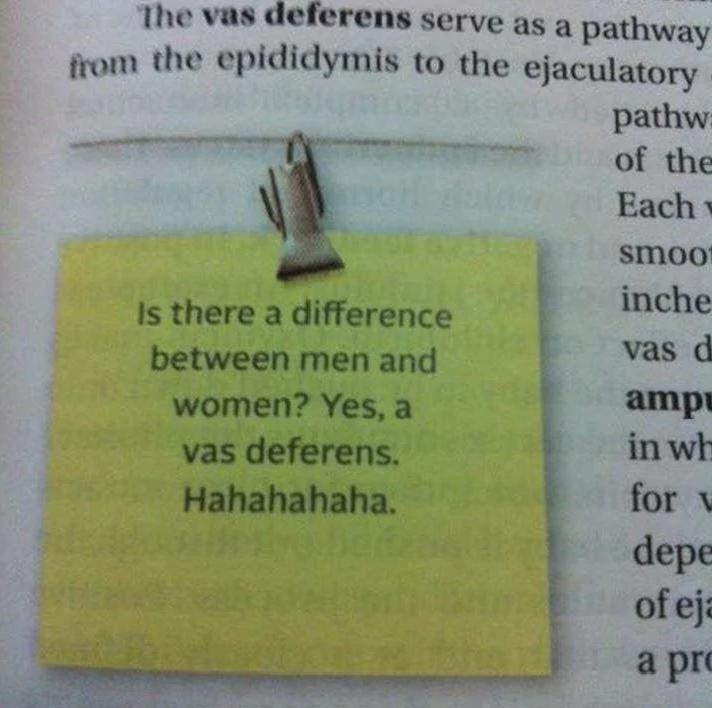 Dad Jokes Found In My Bio Textbook: