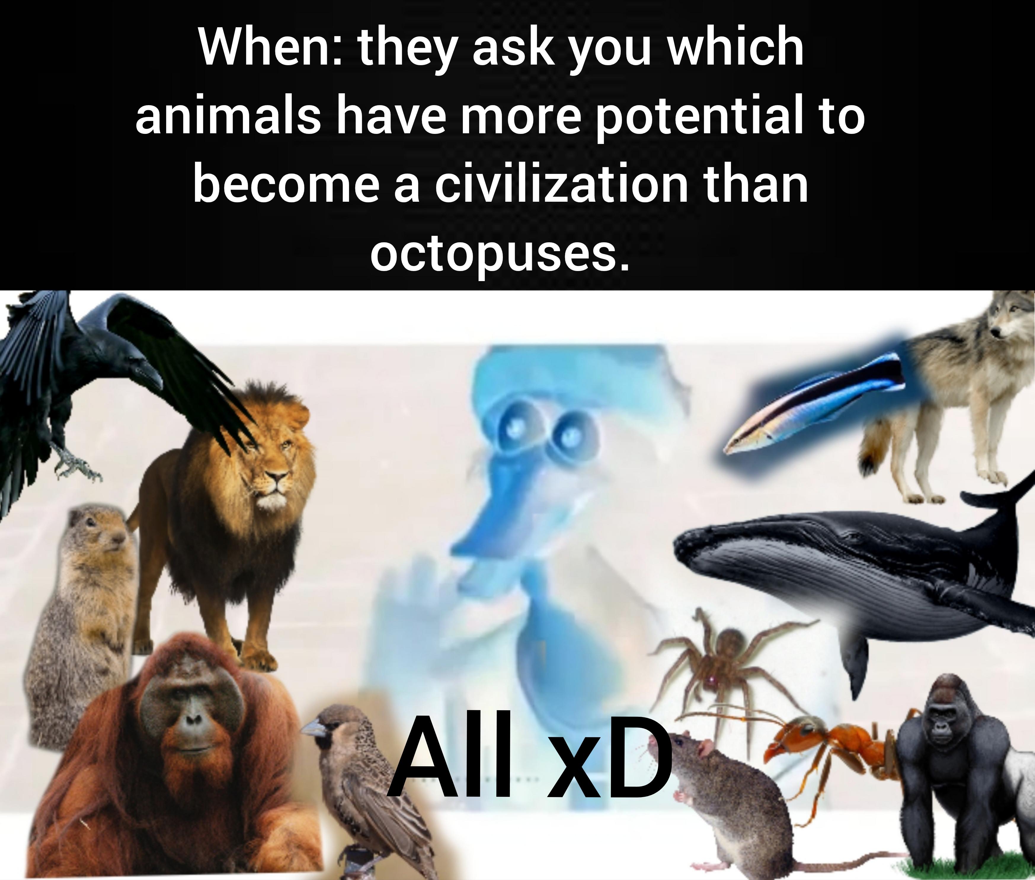 Just Overrated