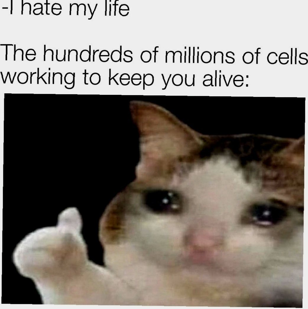 Cells Be Like