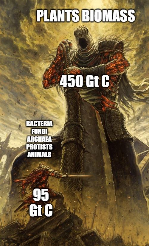What Is The Largest Kingdom By Biomass?