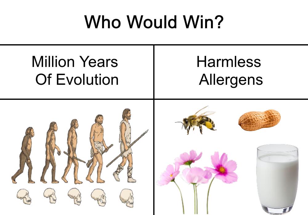 Checkmate Evolutionists /S