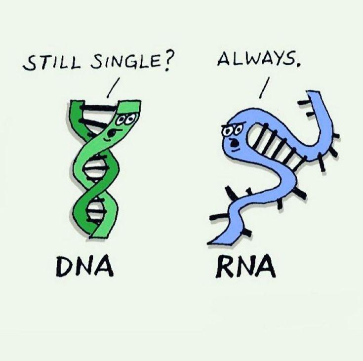 For Real