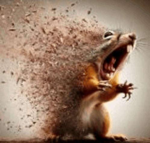 Me The Millisecond I Step On Venus