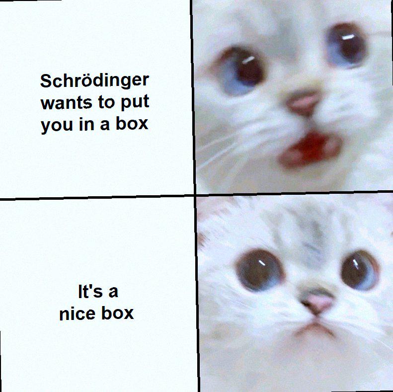 A Cat In A Box