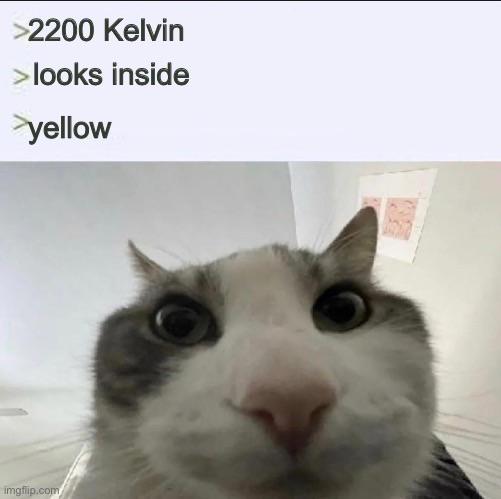 The Kelvin In LED Light Bulbs