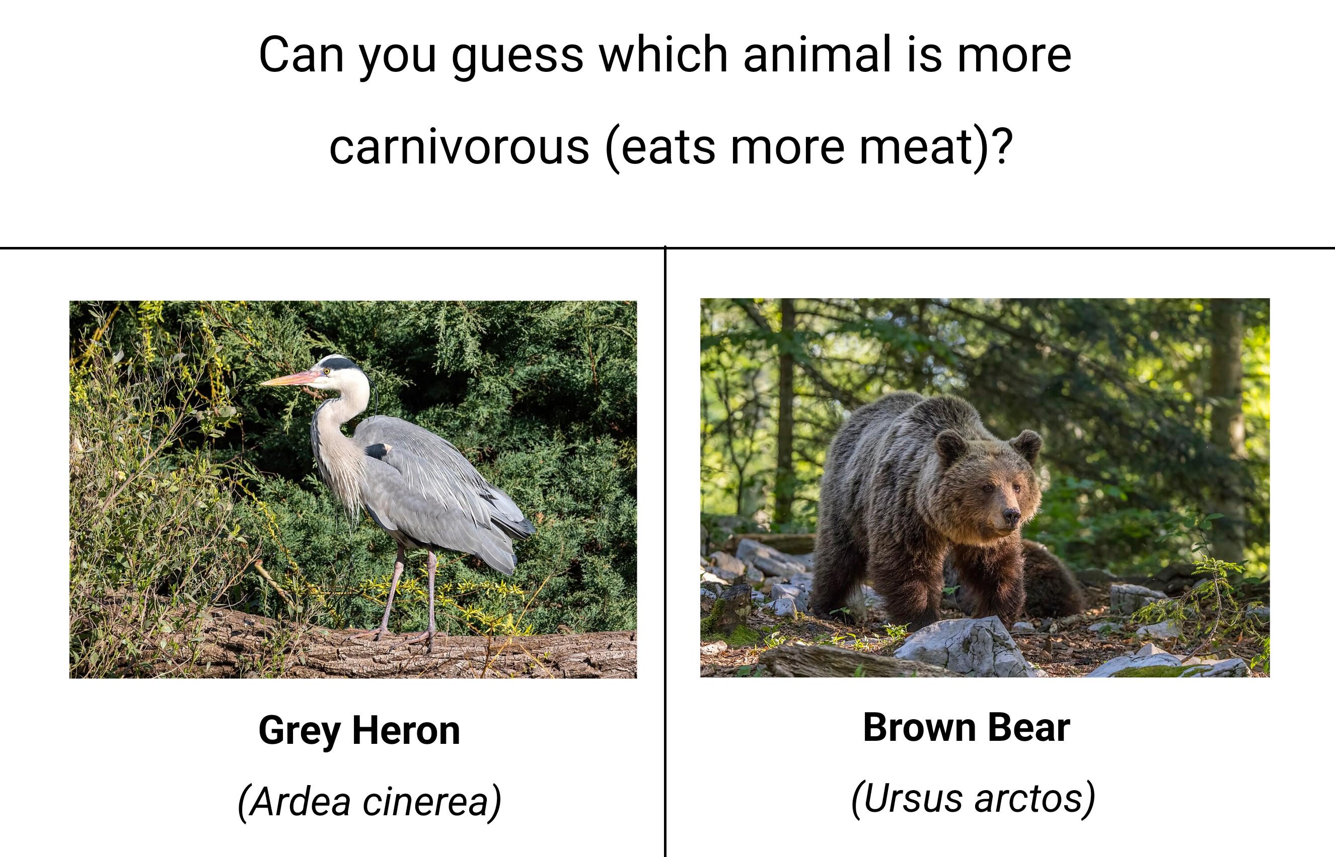 The Answer Might Surprise You