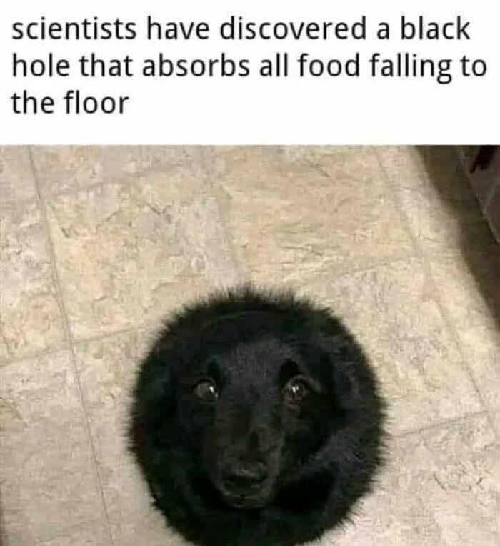 Nothing Can Escape