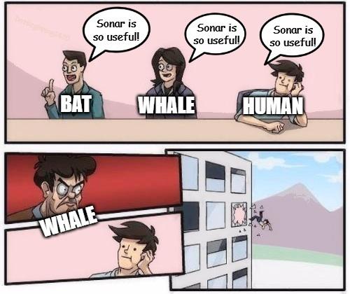 We All Agree On Something